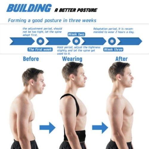Buy Daachi Posture Belt Posture Online at Best Price in Pakistan