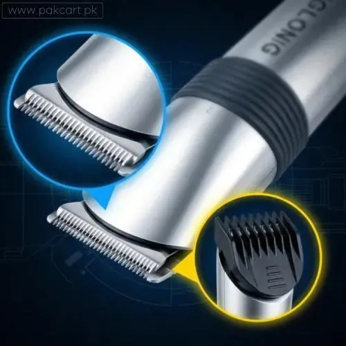 Dinglong Professional Beard And Hair Trimmer RF-609